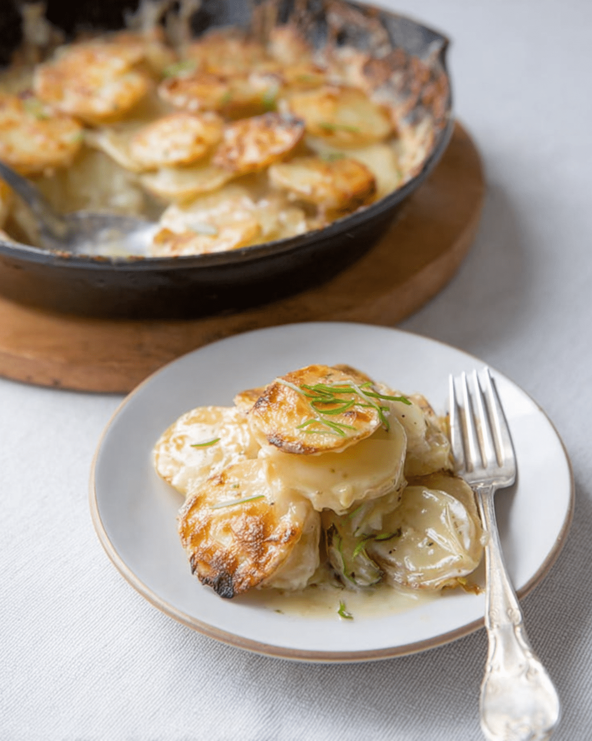 Creamy Scalloped Potatoes Recipe with Lactaid Milk served on a white plate, with a skillet full of baked potatoes in the background.